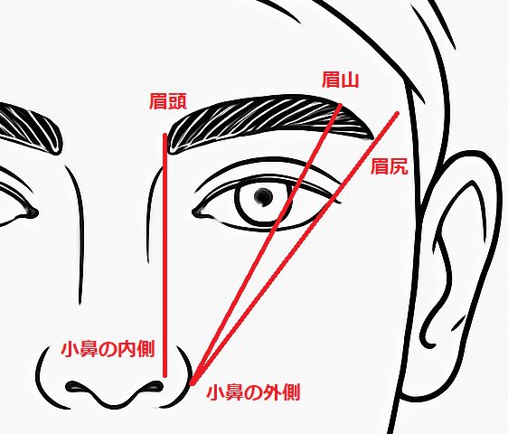 理想の眉毛デザインと黄金比|男の眉毛の形を整える基本