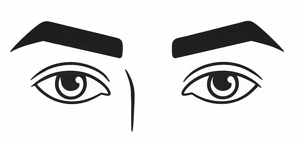 上がり眉毛(コーナー眉)|意志が強く見える男眉毛形の代表